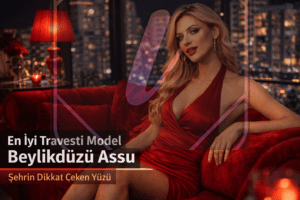 En İyi Travesti Model Beylikdüzü Assu